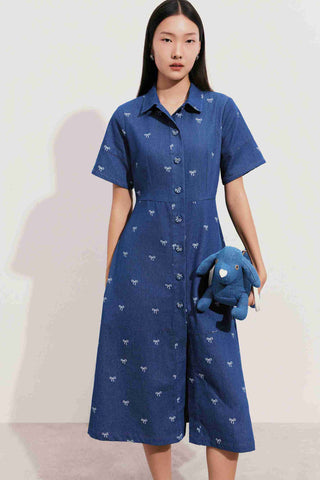 CLAIRE Denim Dress